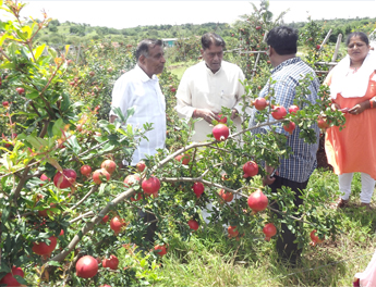 MHF Foundation Trust